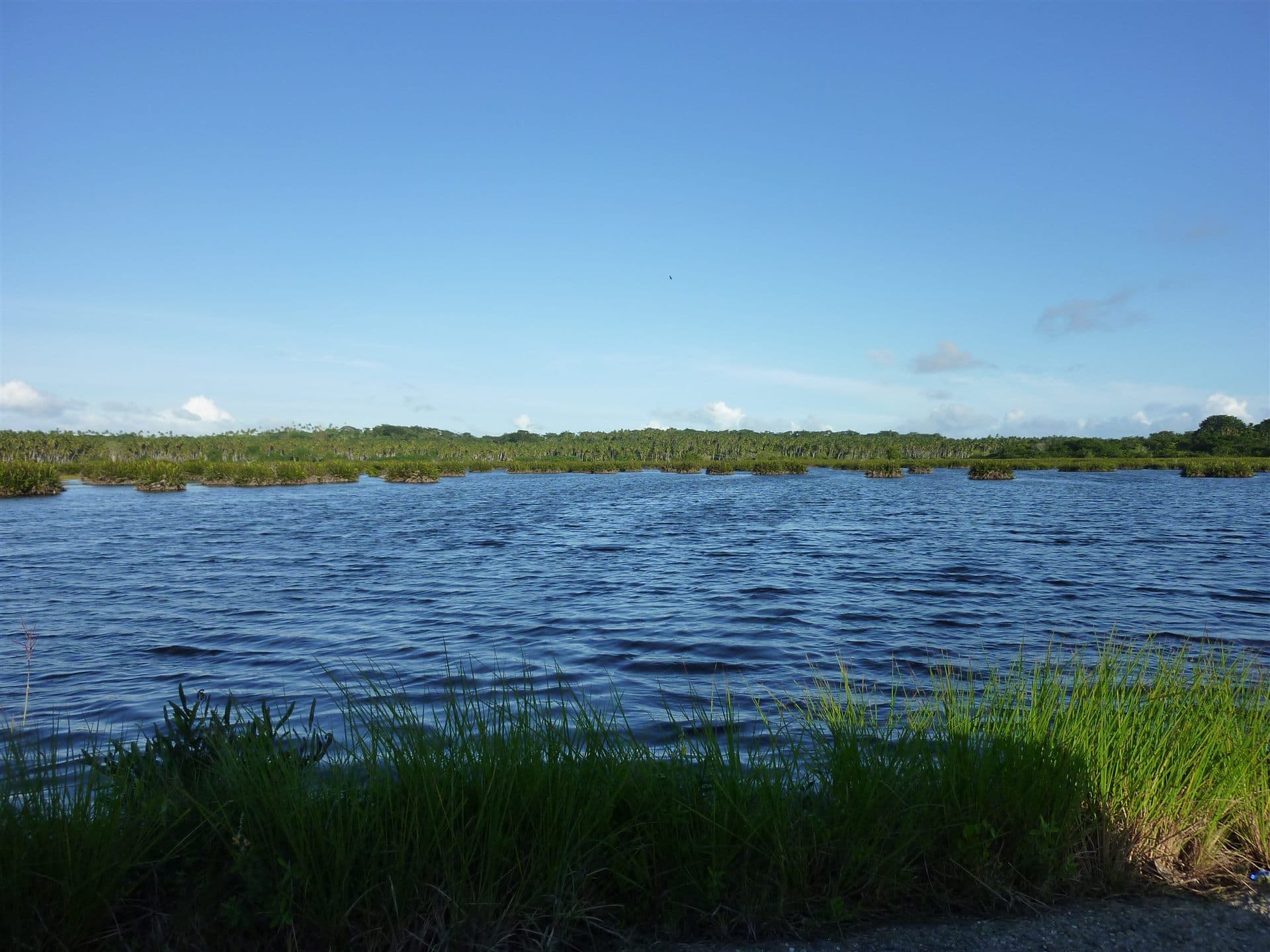 Icacos Wetlands, southwest Trinidad — representative Trinidad interior landscape