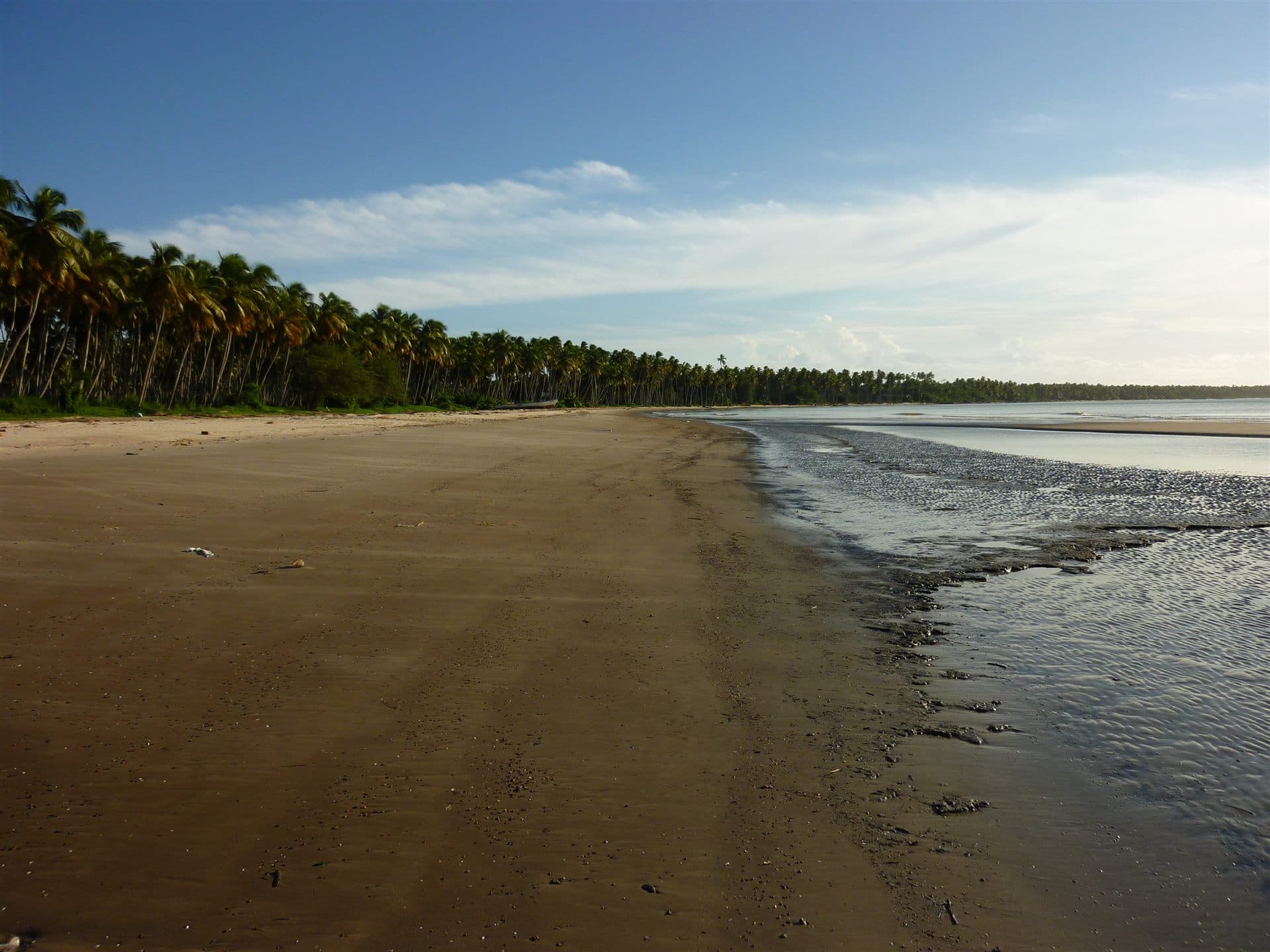 Columbus Beach, Icacos, southwest Trinidad — representative southern Trinidad coastal forest landscape